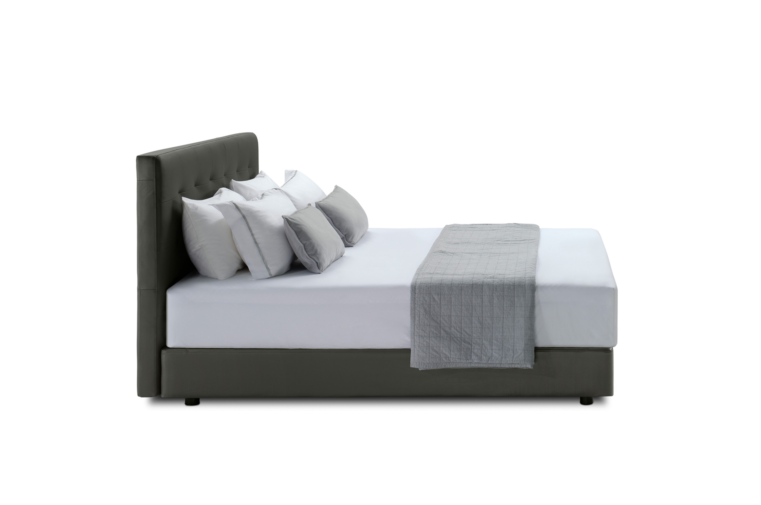 Sleep+ Contemporary Bed Queen Size Bed King Living