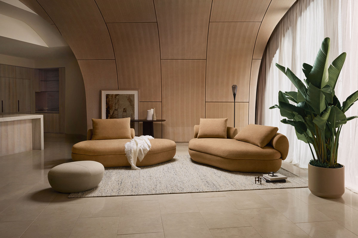 A minimalist living space with two small organic shaped brown sofas and an oversized plant.
