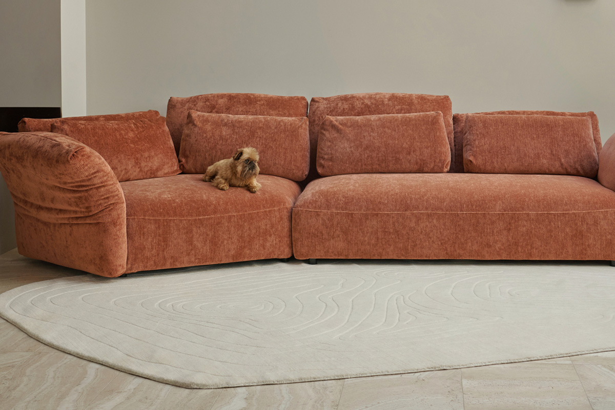A dog sits on a modular sofa in a burnt orange chenille fabric, styled with an organic neutral rug.